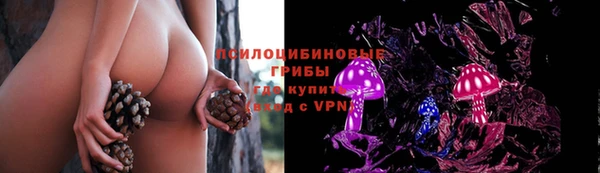 a pvp Алексин