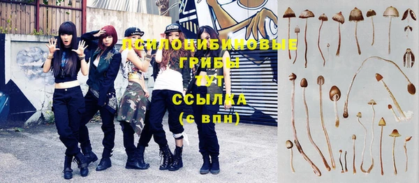 сатива Алексеевка