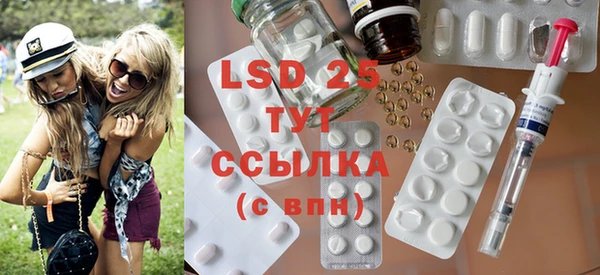 PSILOCYBIN Алзамай